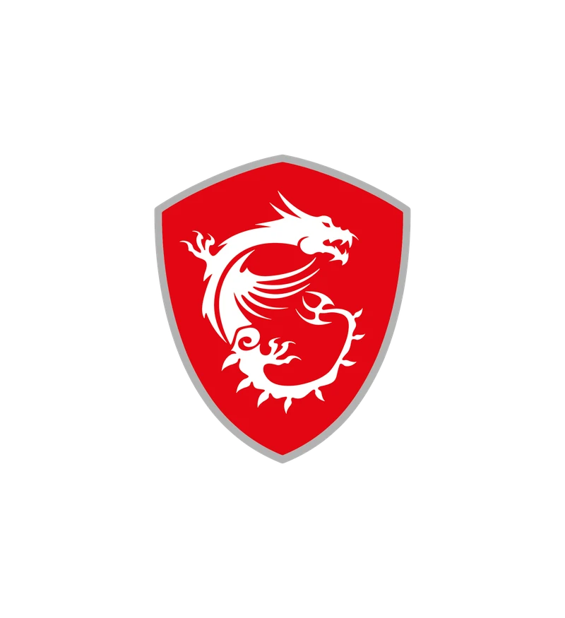 MSI